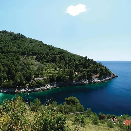 With Fireplace X * Zrnovo